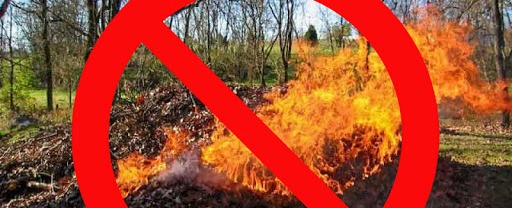 Не спалюйте суху траву! | Новини | Дмитрівська ОТГ